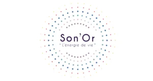 logo_sonor